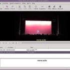 Linux上几款好用的字幕编辑器