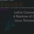 lolcat ：一个在 Linux 终端中输出彩虹特效的命令行工具