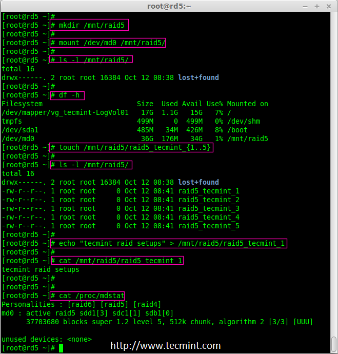 Mount Raid 5 Device