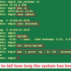 使用 tuptime 工具查看 Linux 服务器系统的开机时间的历史和统计