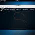 黑客专用 Linux 发行版 Kali Linux 发布了首个滚动更新版 2016.1