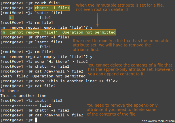 Protect File from Deletion