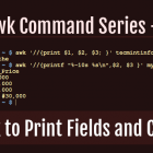 awk 系列：如何使用 awk 输出文本中的字段和列