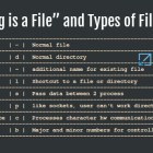 诠释 Linux 中“一切都是文件”概念和相应的文件类型