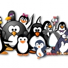 7 个 Linux 新手容易犯的错误