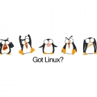 今天就安装 Linux ！