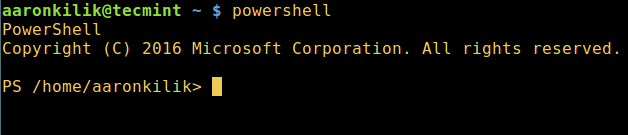 Start Powershell in Linux