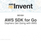 使用 AWS 的 GO SDK 获取区域与终端节点信息