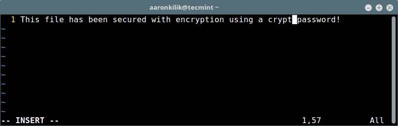Vim File Password Protected