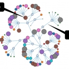 Neo4j 和图数据库起步