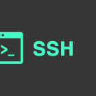 通过 ssh 会话执行 bash 别名