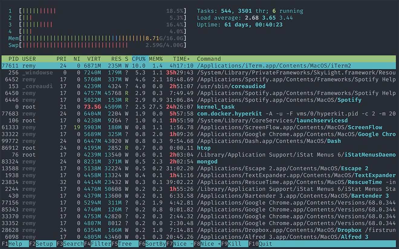 htop output