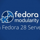 Fedora 28 服务器版的模块化