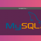 怎样在 Ubuntu Linux 上安装 MySQL