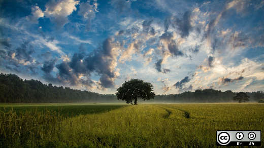 Tree clouds