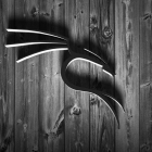 用于黑客渗透测试的 21 个最佳 Kali Linux 工具