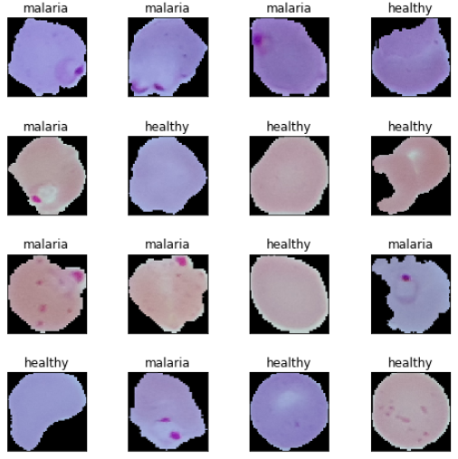 Malaria cell samples