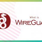 什么是 WireGuard？为什么 Linux 用户为它疯狂？