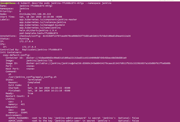 output of kubectl-describe-pods