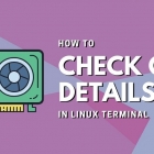 如何知道你的 Linux 用的哪种显卡？