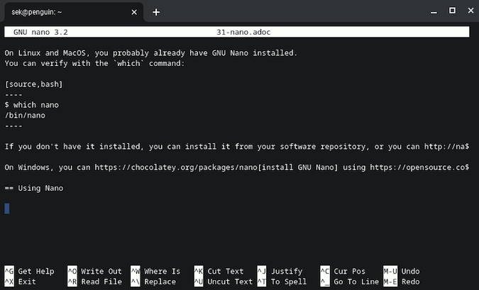 Black nano terminal with white text