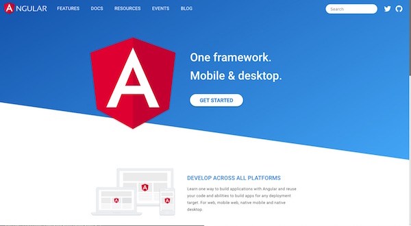 Angular homepage