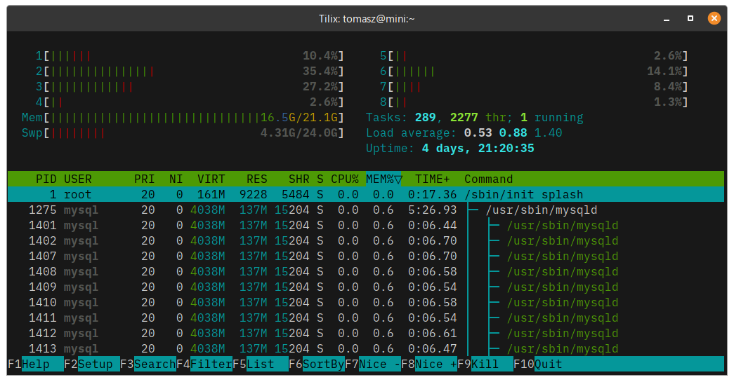 Memory usage using htop