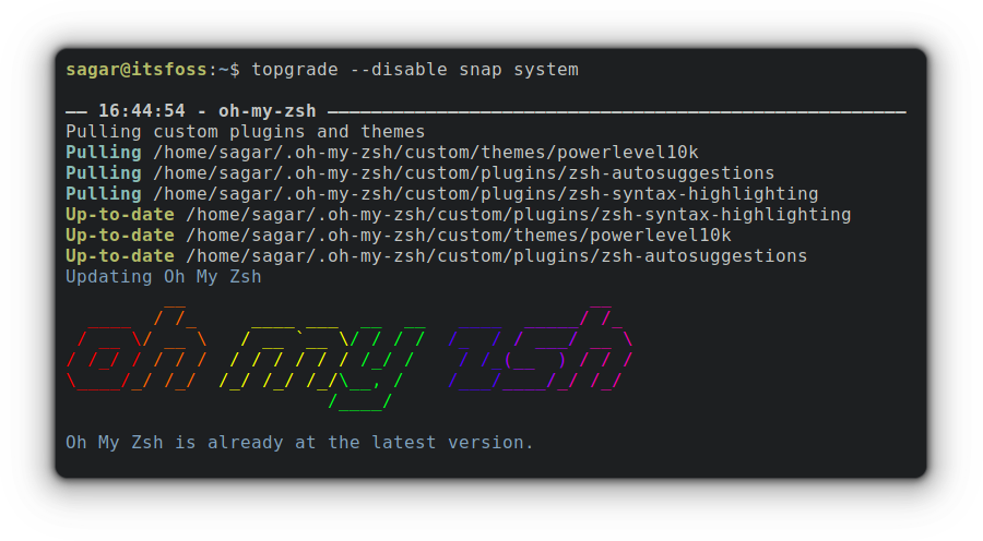 Topgrade disable snap system