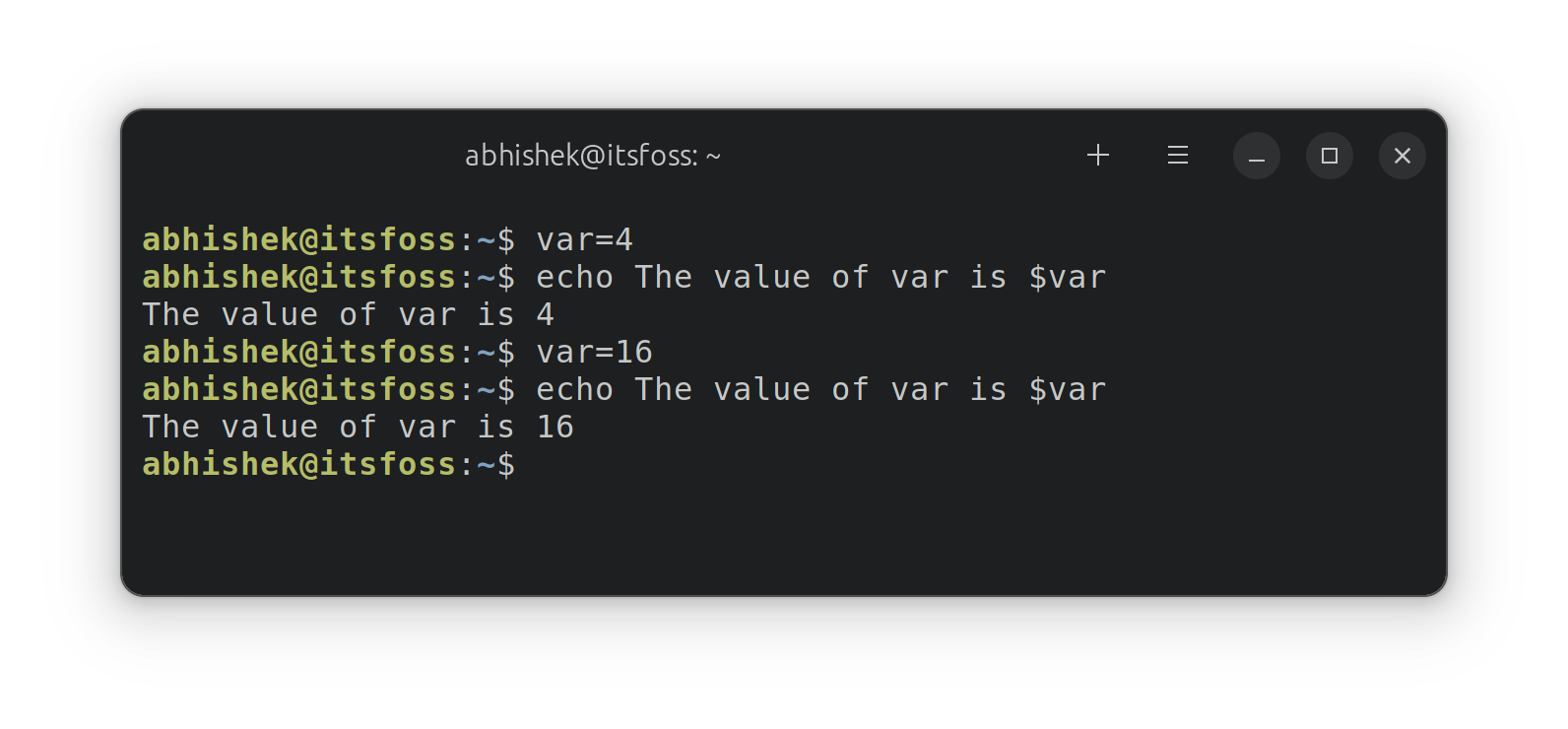 Using variables in shell