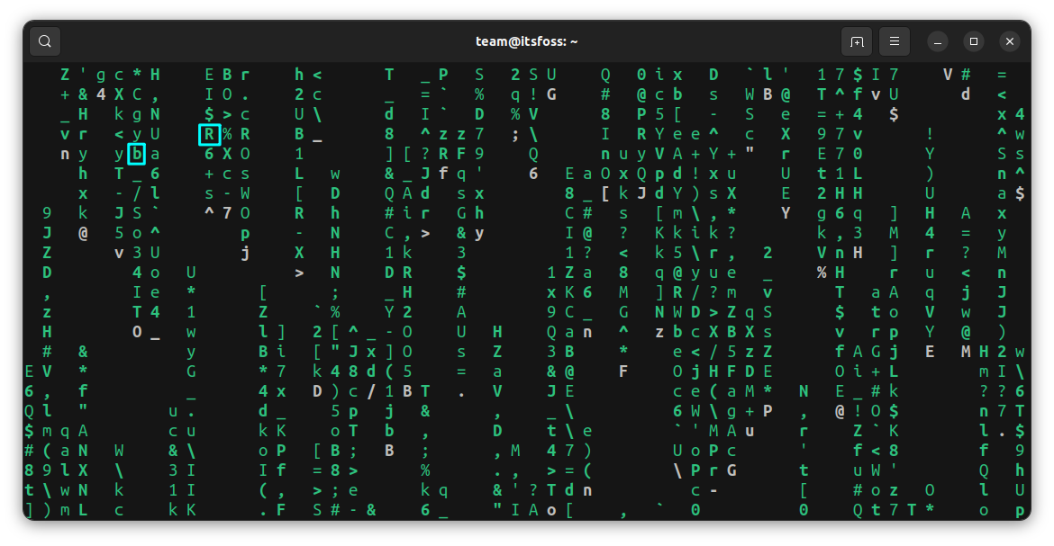 加粗的 Cmatrix 字符